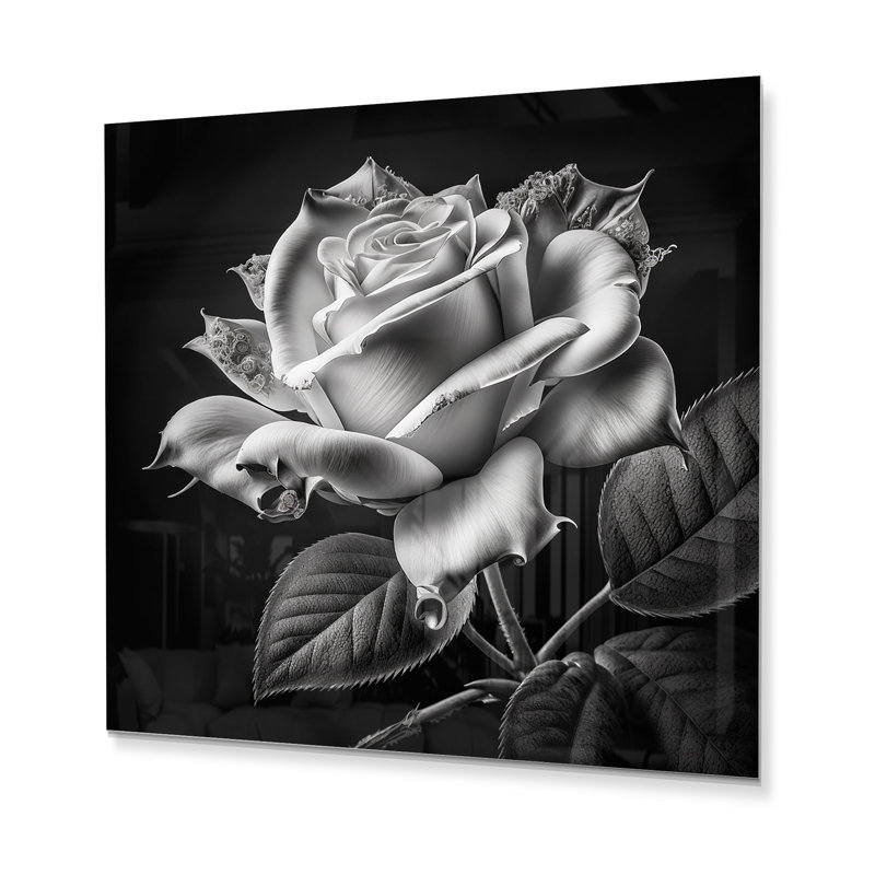 Donaciones Plants & Flowers Wall Decor on Metal, 23" H x 23" W x 1" D