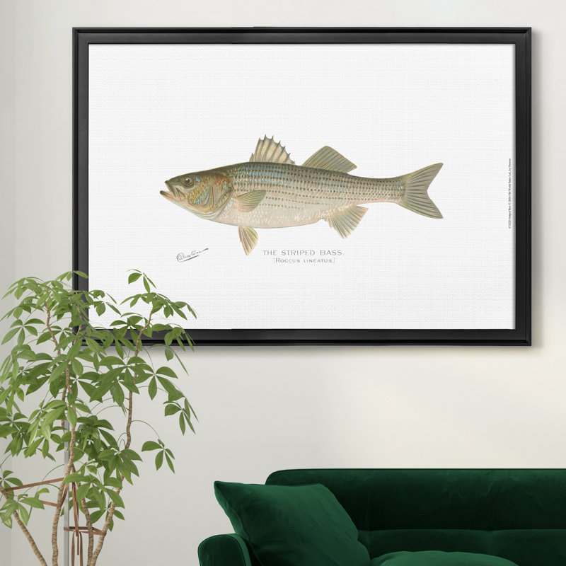 Bar rayé - reproduction d'art sur toile, Noir, H 22,5 po x l 30,5 po x P 1,5 po