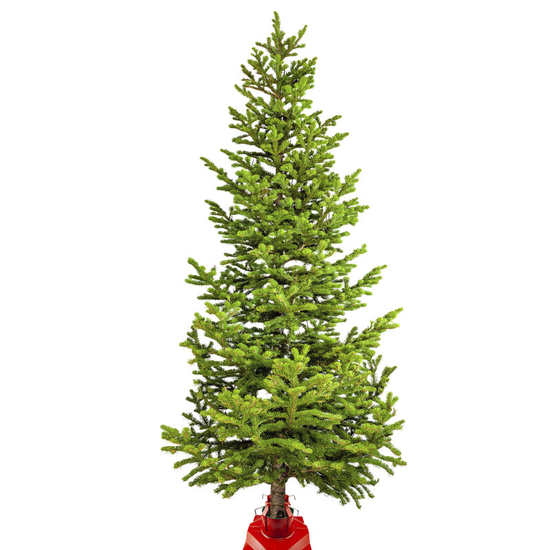 Support pour arbre à père noël live