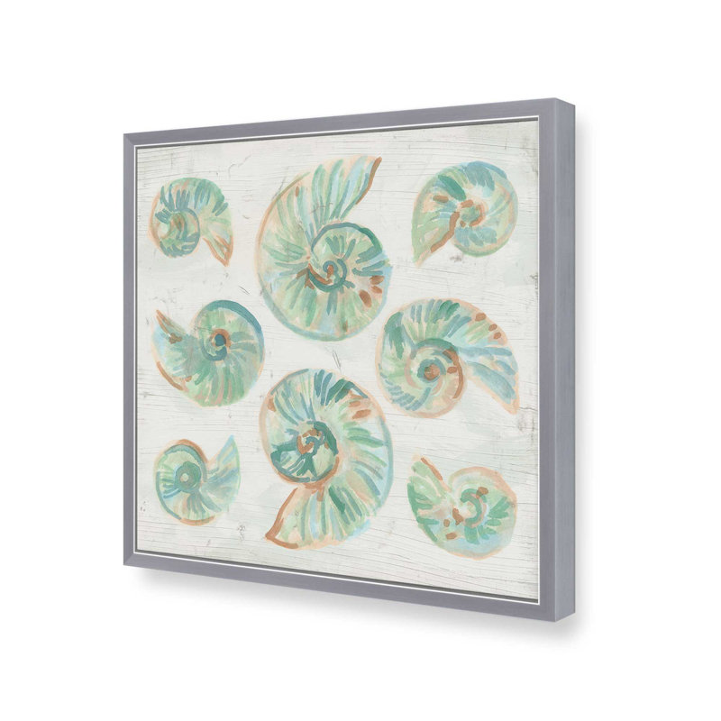Reproduction d'art «Saltwashed Shells IV» par June Erica Vess, H 12 po x l 12 po, Argent argent