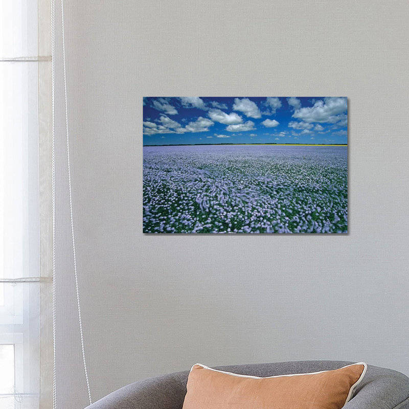 Canada, Manitoba, Treherne. Flax Field Blowing In Wind by Jaynes Gallery - Wrapped Canvas Print