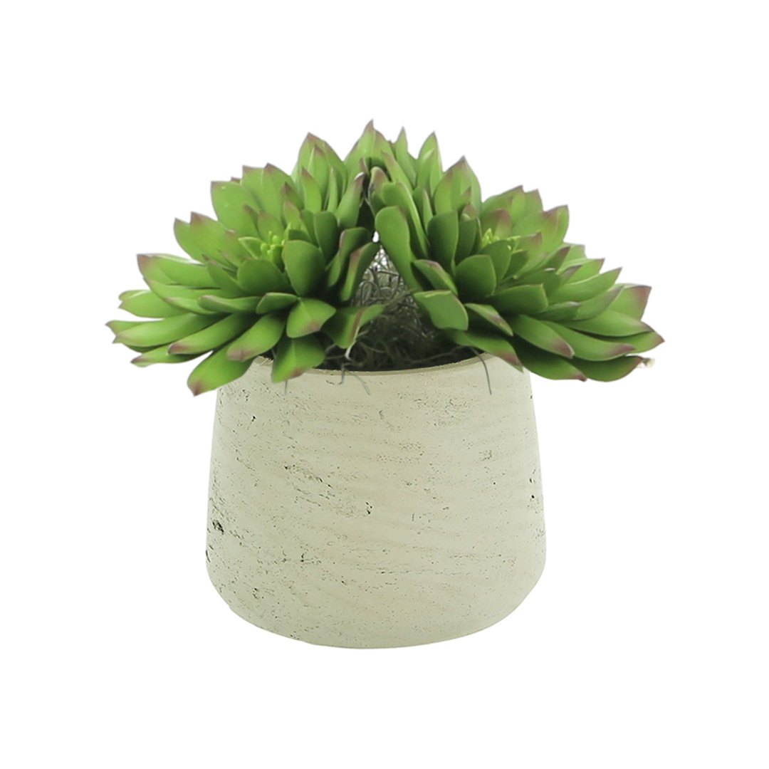Rockridge 8'' Faux Succulent Plant in Fiberstone Pot Primrue Base