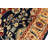 Salisha Wool Oriental Indoor Rug