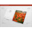 No Frame Print on Glass-18294481