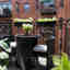 Customer photo 2 of 4