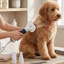 Brosse à chat pour chats et chiens-125302063