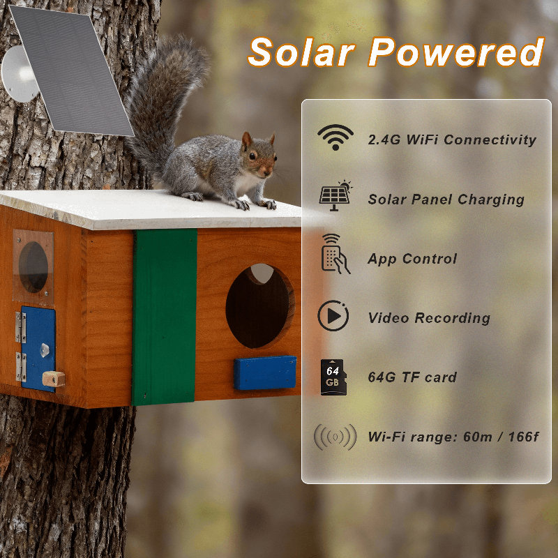 Smart Squirrel House with Caméra