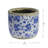 Claudette Terracotta Pot Planter