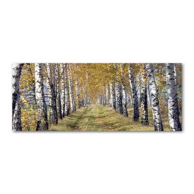Birches In Autumn - Wrapped Canvas Print
