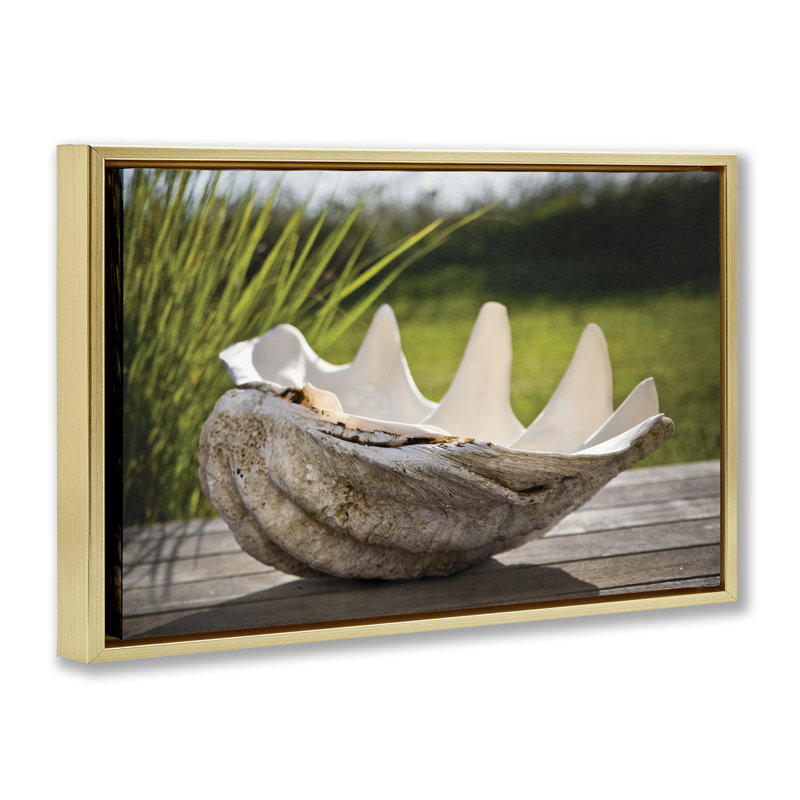 Cadre flottant Sea Treasure Shell, design par Seven Trees Design, H 17 po x l 25 po, Cadre flottant métallique doré