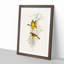 Yellow Honeyeaters by Elizabeth Gould - Picture Frame Painting Print-55614222-55614224