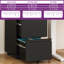 Canesha 39cm W 2-Drawer Office storage unit,Steel Filing Cabinet with 4 Casters-178017655