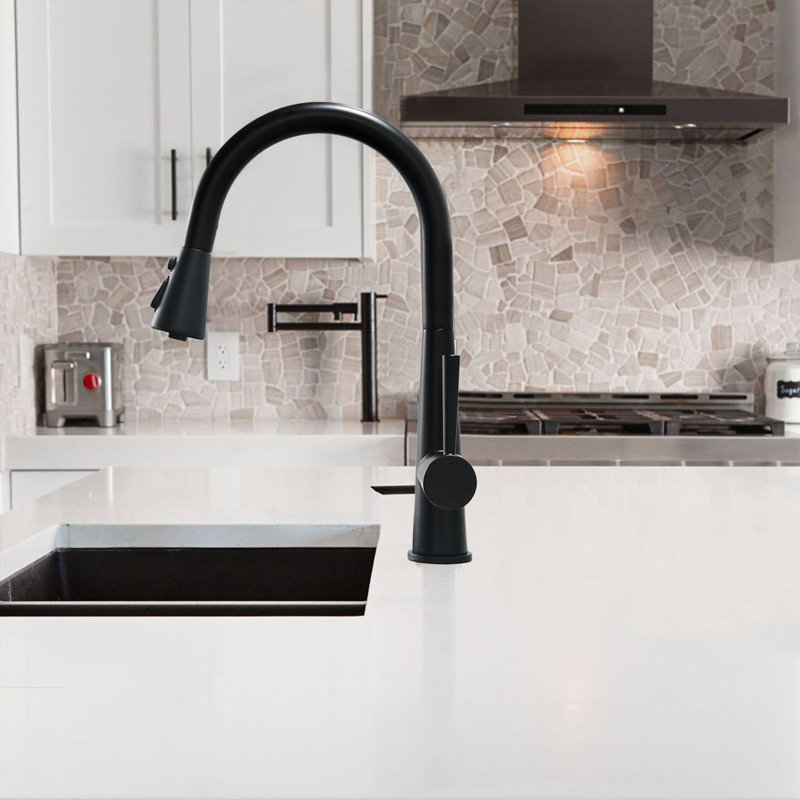 OAKLAND Single Handle Pull Down Kitchen Faucet, Matte Black