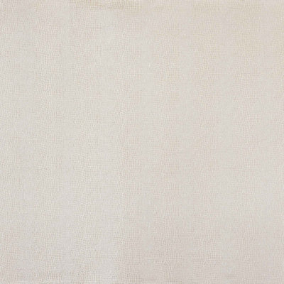 Knox Fabric