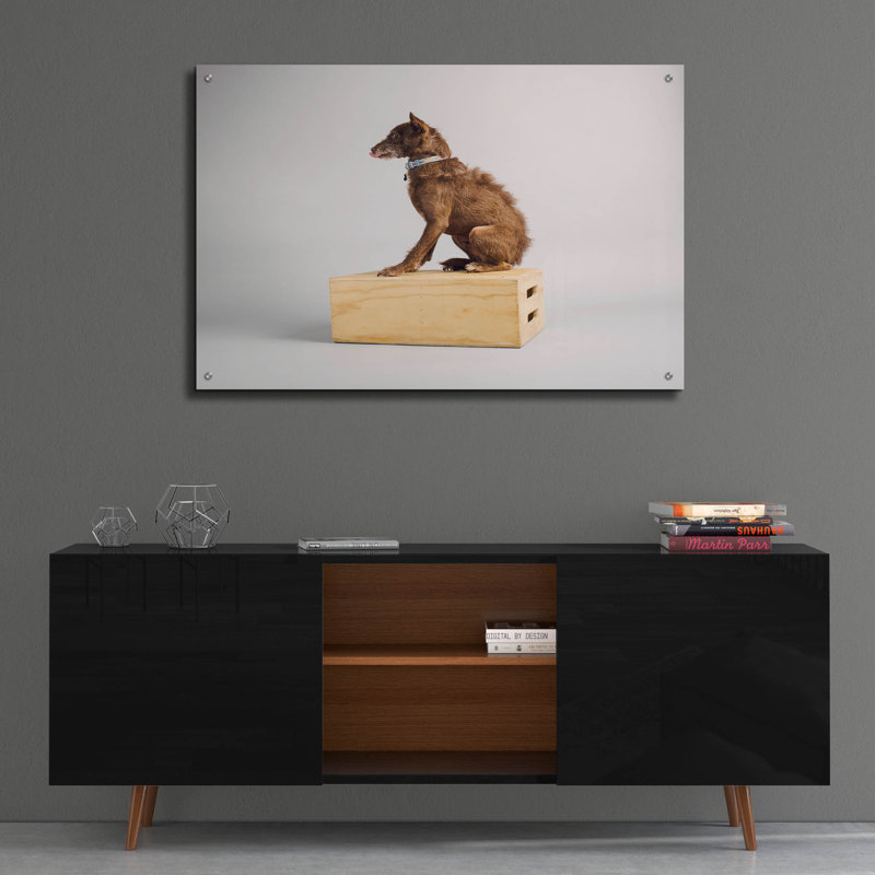 «Side Eye» par Susan Sabo, H 24 po x l 36 po x P 0,2 po