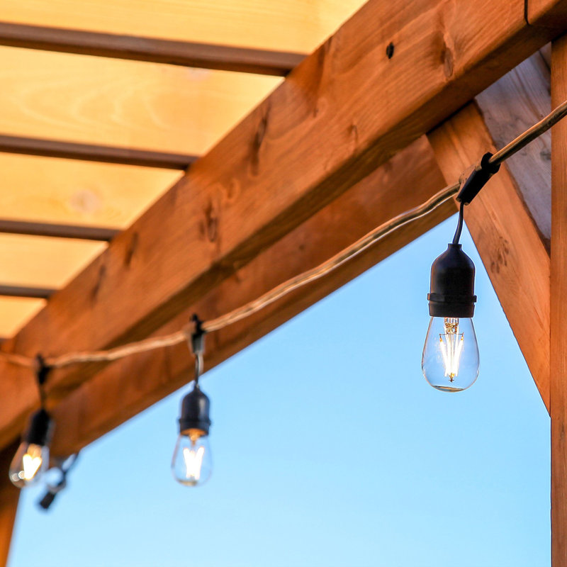 24 ft Black LED Outdoor String Lights with Warm White Edison Bulbs