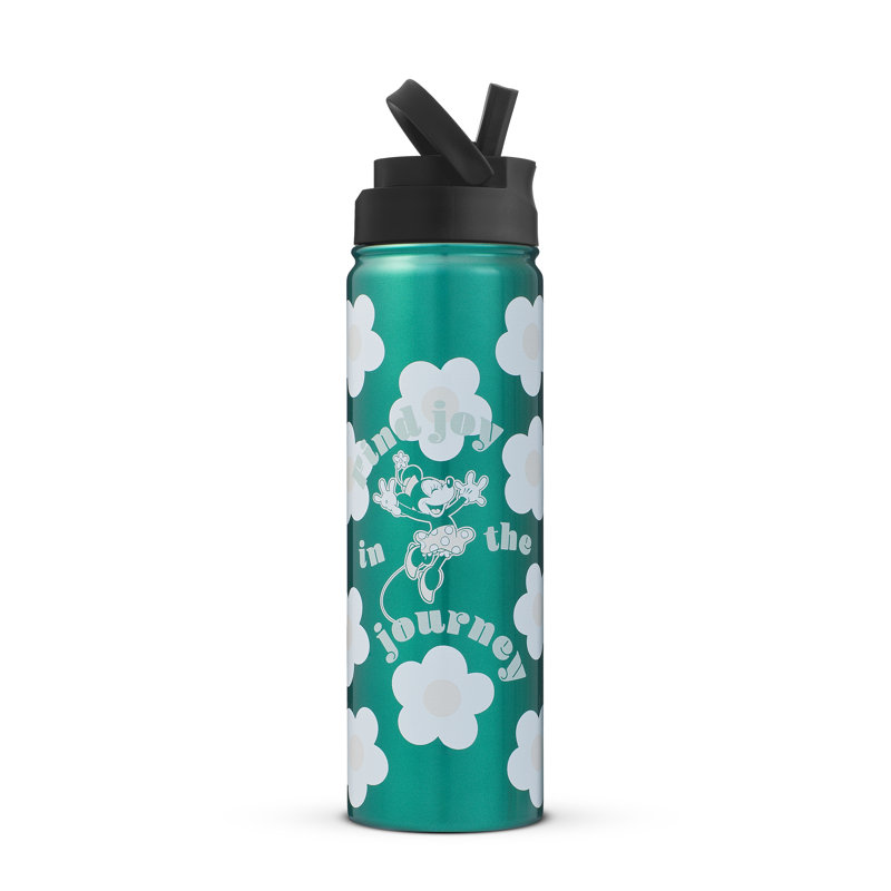 Bouteille d'eau rétro Disney en acier inoxydable Mickey & Minnie, Vert
