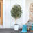 Adcock Artificial Olive Tree with Decorative Pot, UV Resistant Faux Olive Tree with Natural Trunk-1799478850-1799478851