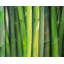 Napperon Bamboo Décoration intérieure