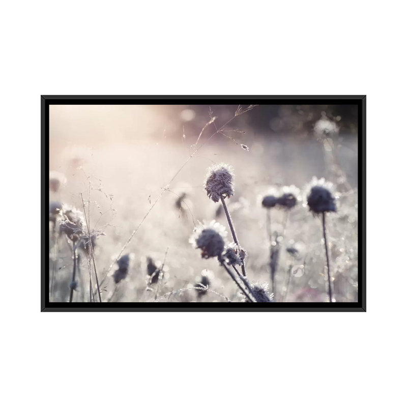 « frost i », impression sur toile, H 40 po x l 60 po x P 1,5 po, Toile encadrée noire