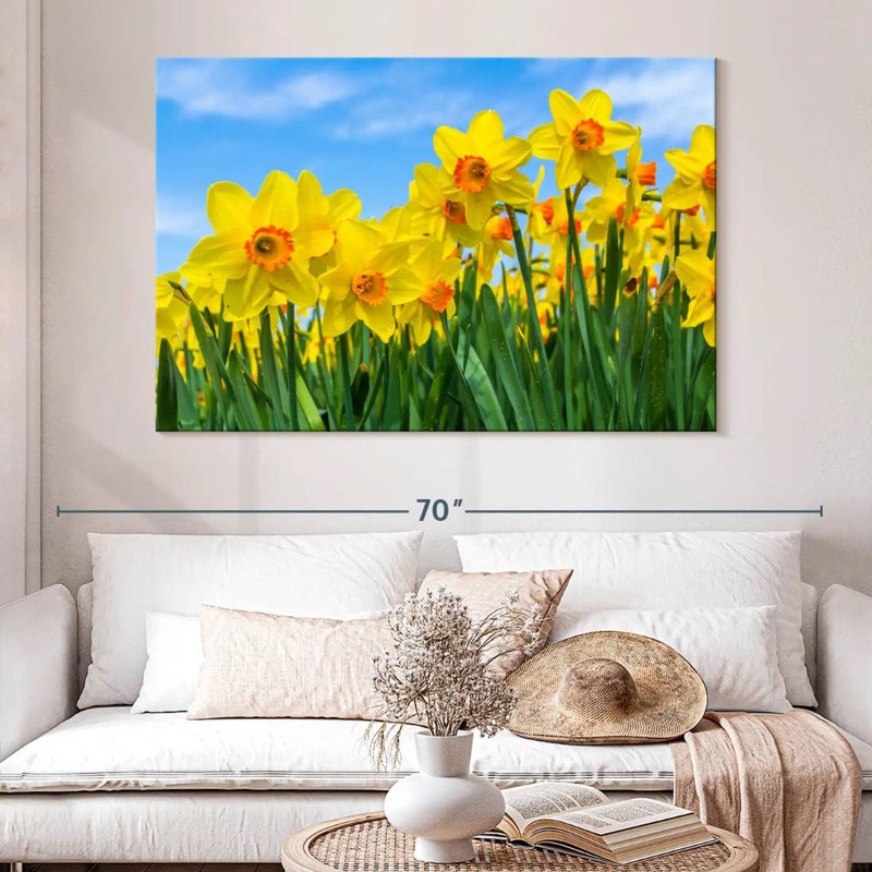 Jonquilles d'été Harnek, H 34 po x l 51 po