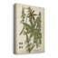 Weinmann, plantes tropicales I, impression sur toile tendue-1506976062