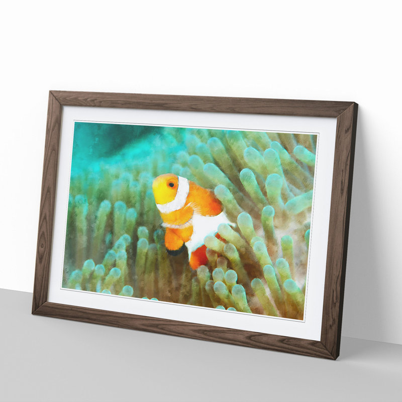 Clownfish Vol.1 - Picture Frame Graphic Art, Walnut Framed, 27cm H x 36cm W x 2cm D