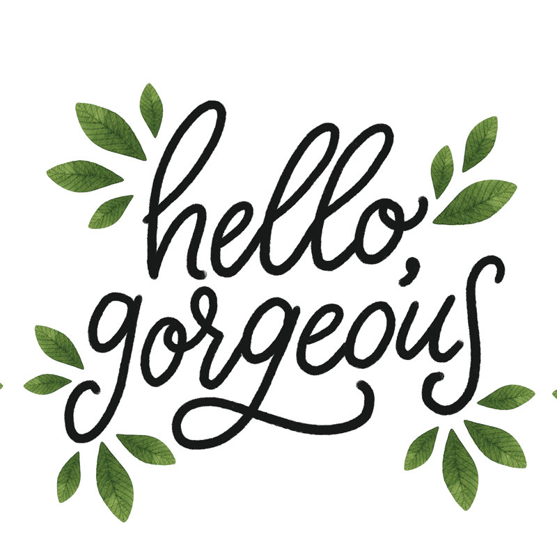 Hello Gorgeous 3 - Wrapped Canvas Print, 76cm H x 76cm W x 3.8cm D