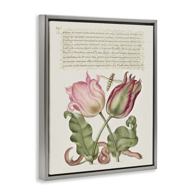 Tulipes et insectes, art mural encadré flottant antique par Melissa Wang