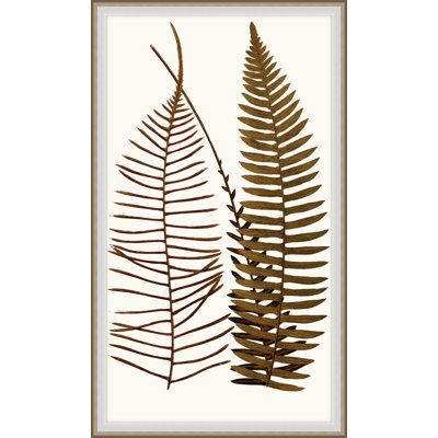 Aged Undergrowth 4 Framed Print
