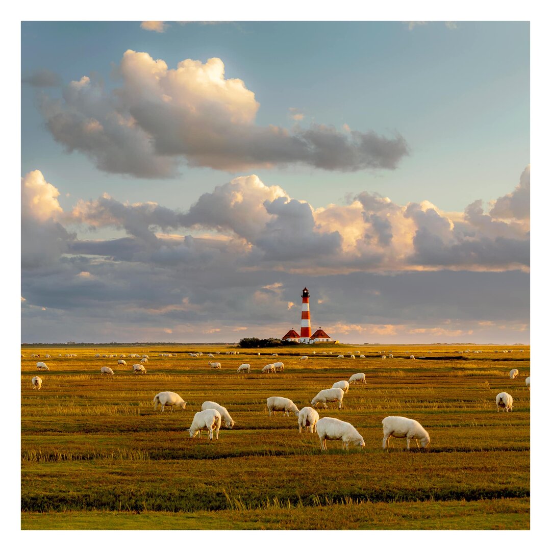 Strukturierte Fototapete North Sea Lighthouse with Flock of Sheep 1,92 m x 192 cm