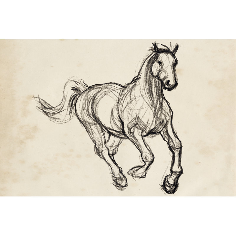 Gestural Appaloosa II by Jennifer Paxton Parker - Painting, 51 cm H x 76 cm W, Wrapped Canvas