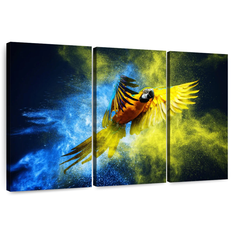 Brampt Striking Macaw, 36" H x 57" W