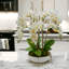 Orchid Arrangement in Ceramic Planter