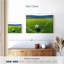 Soccer corner kick Sireci-108732619