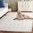 Mimma Performance Performance Oriental Rug-98674028