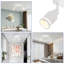 Safwa Spotlight