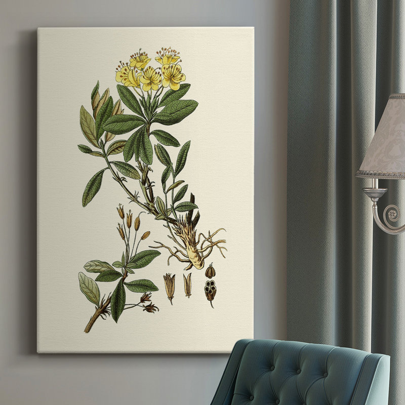 Olive Greenery IV - peinture sur toile tendue, H 18 po x l 12 po x P 1,5 po