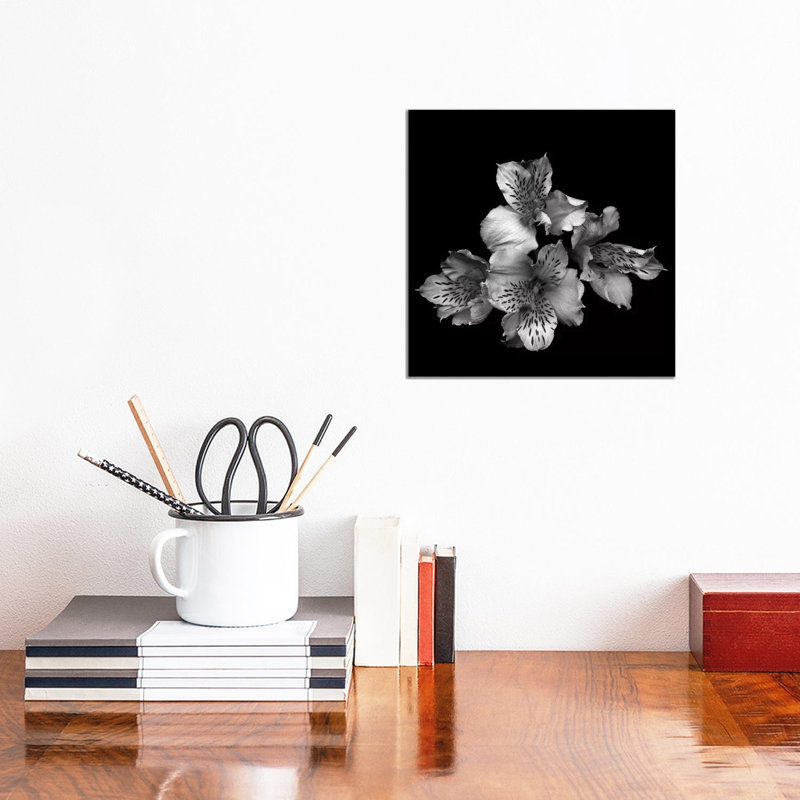 Alstoemeria II, B&W by Magda Indigo - Wrapped Canvas Gallery-Wrapped Canvas Giclée, 30.48 cm H x 30.48 cm W