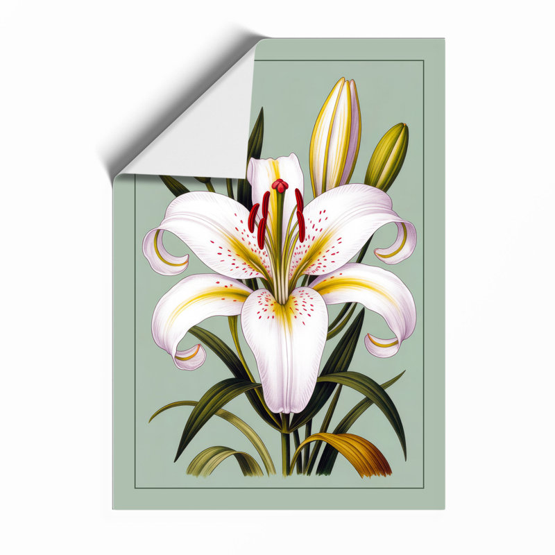 White Lily Study Botanical - Print, Unframed, A1 - 84.1 x 59.4 cm