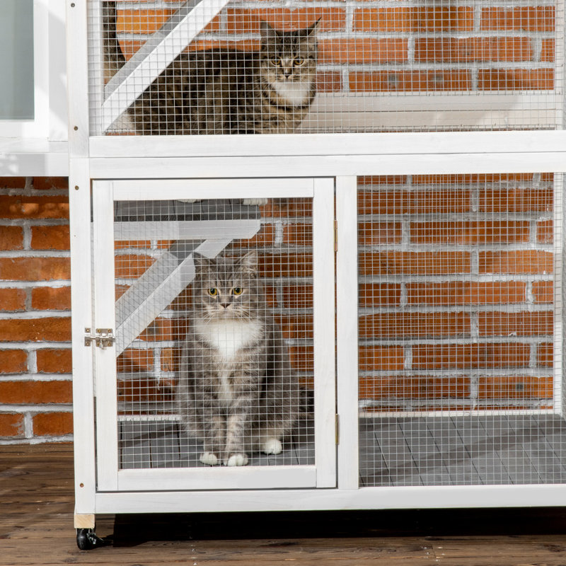 Maison d'extérieur pour chat avec plusieurs caractéristiques pour le confort et le divertissement félins