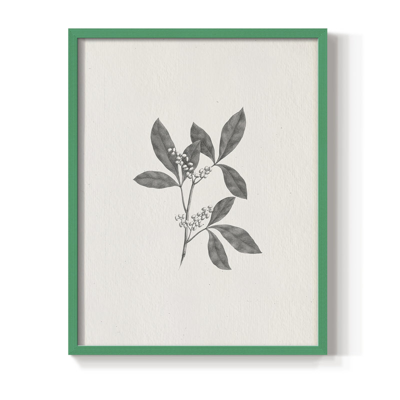 Reproduction encadrée rétro en bois massif XCV III, H 15 po x l 12 po, Vert