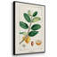 " Turpin Tropical Botanicals IV " 3 - Pieces-91891657-91891656