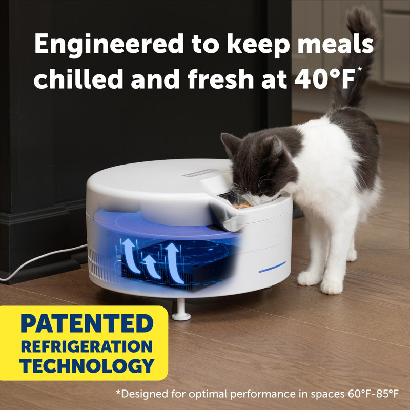 Petsafe Freshfeed Refrigerated Pet Feeder, White, White