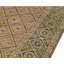 Area Rug in Beige