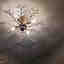 Photos des clients 1 de 2