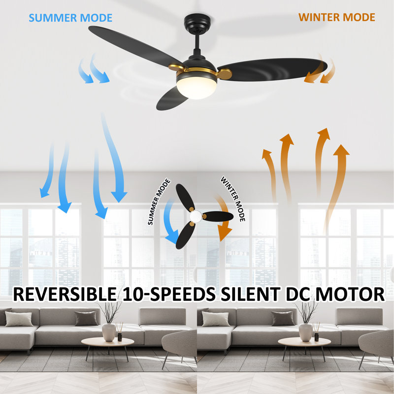 52 Inch Black Smart Ceiling Fan with Light