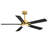 Rolanda 52" 5-inch Downrod Mount Ceiling Fan with Light Kit and Remote Control-1927761638
