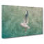 Seagull Painting - Wrapped Canvas-56654260