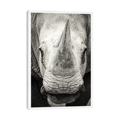 Southern White Rhinoceros Closeup Black And White by Susan Schmitz - Print on Canvas